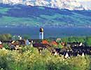 Kressbronn